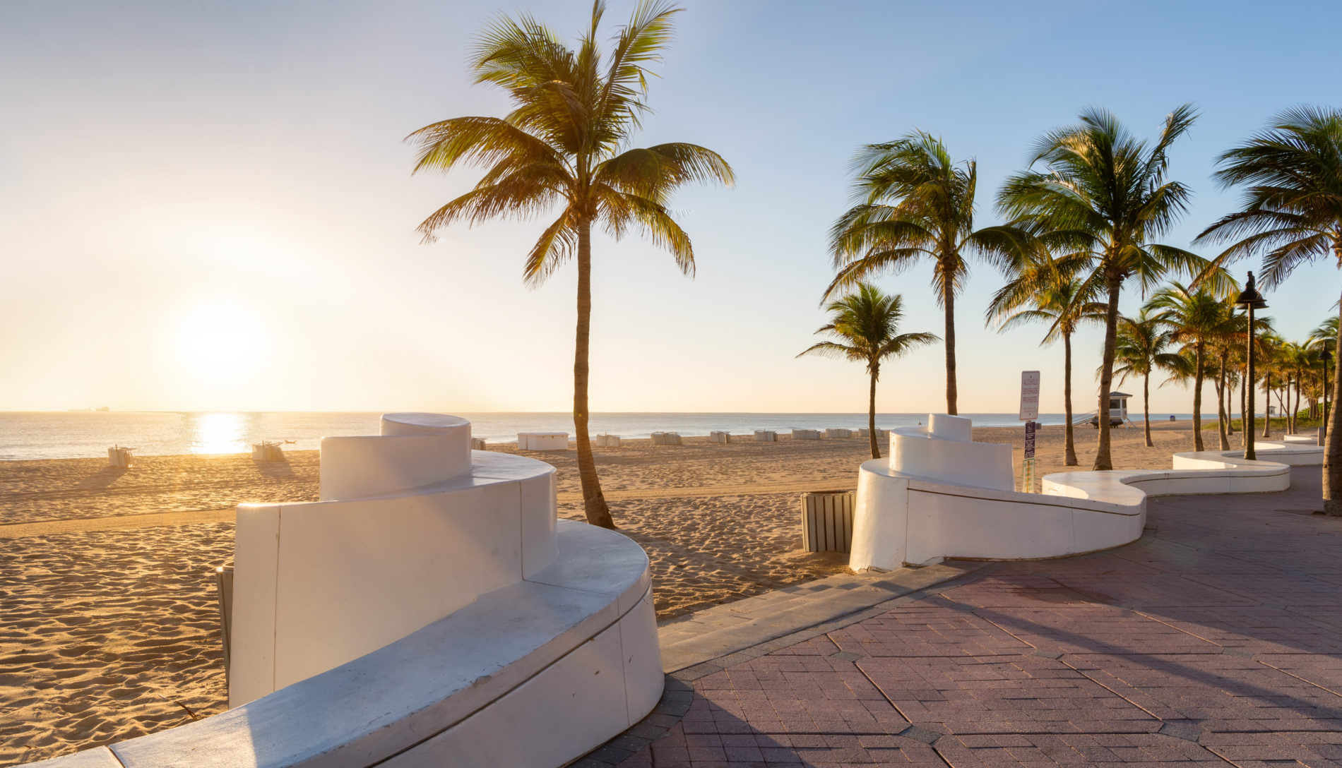 Palm tree and beach at sunset